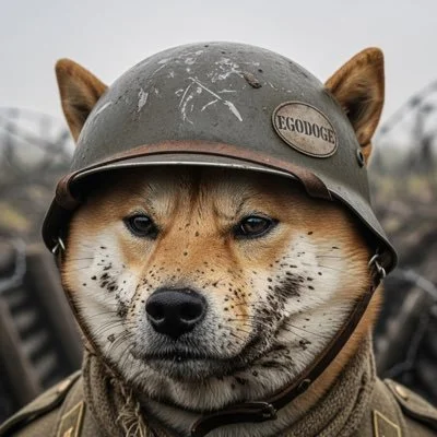 EgoDoge