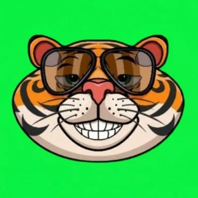 Tiga coin ICO gaming project on Base blockchain