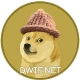 DOGE WIF HAT crypto presale Solana MEME coin