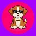 MINIDANE IEO crypto project