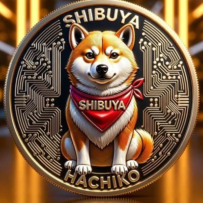 Meme Coin