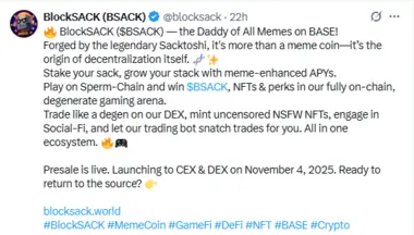 Blocksack Presale Gains Momentum with Over 11% Already Raised