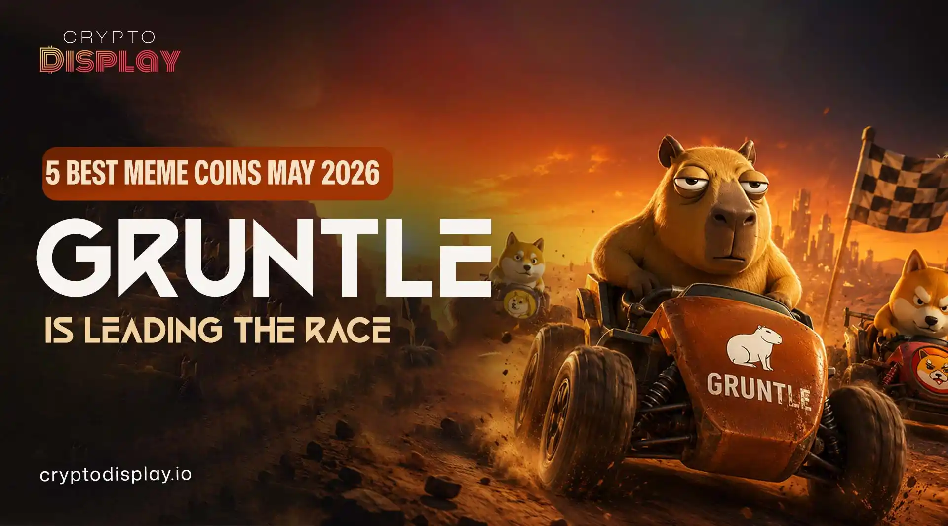 5 Best Meme Coins May 2026: Gruntle Leads the Race