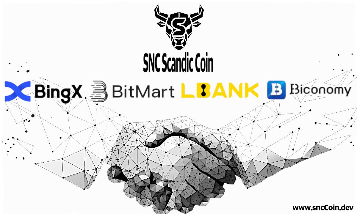 Crypto Market Update