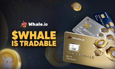 Whale.io $WHALE NFTs Debut on Solana Pre-Market Phase