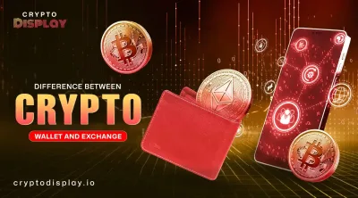 Crypto Wallet vs Exchange Basics