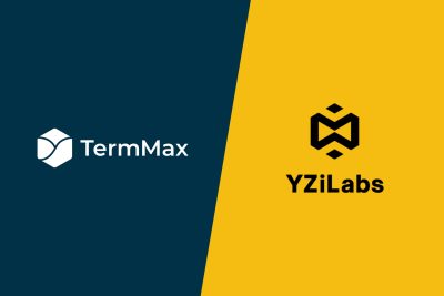 YZi Labs Backs TermMax to Advance On-Chain Bo ...