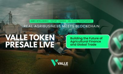 Valle Capital Token Launches