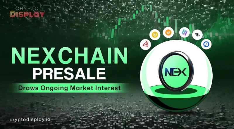 Nexchain Presale Update Shows Progress Through 30 Stages