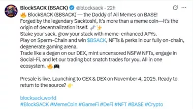 Blocksack Gains Momentum with Over 11% Already Raised