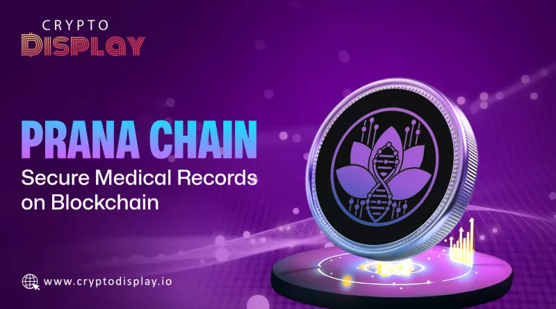 Prana Chain Presale: Faster, Cheaper, Blockchain Future