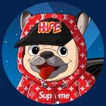Hype Dogga Hype Dogga Presale Meme Coin Launch on Solana Blockchain