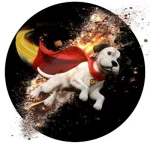 Krypto Crypto Krypto Crypto presale – Early $KRY token launch on Base