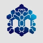 Haven Coin presale Polygon blockchain crypto token